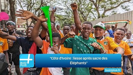 "Côte d'Ivoire : liesse après sacre des Éléphants"