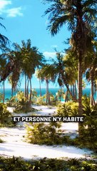 Cette île est une vraie poubelle perdue au milieu de l'océan !