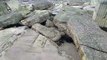 Alnmouth beach erosion