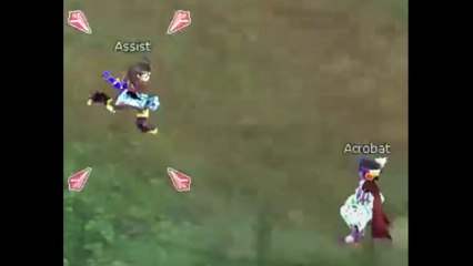 Insanity FlyFF FM vs Harle exe