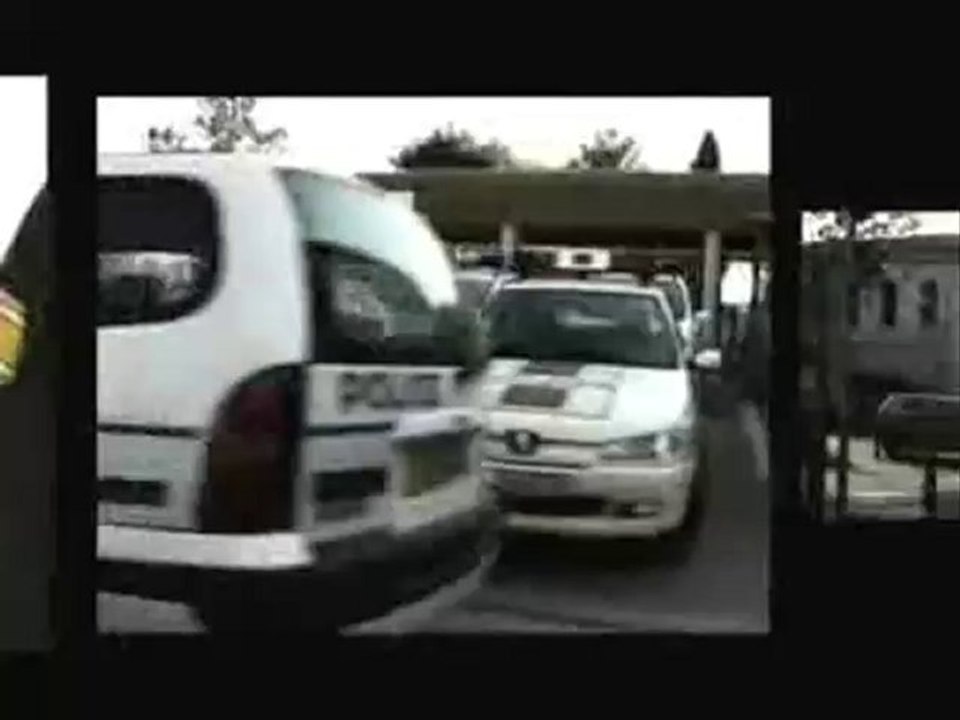 le rat luciano - exclusive