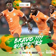 L'épopée des éléphants ''champions'' d'Afrique