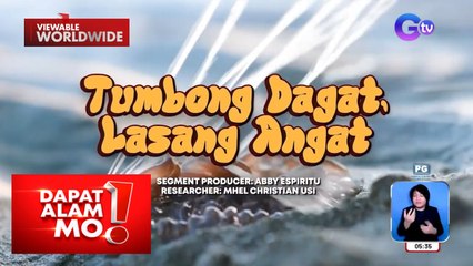 “Tumbong dagat” ng Bataan, tikman! | Dapat Alam Mo!