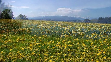 Tempesta d'amore - 10 febbraio 2024