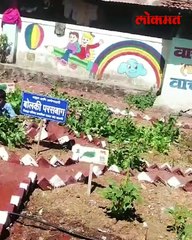 चक्क शाळेतच मुलांनी केली सेंद्रिय पद्धतीची शेती