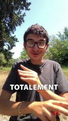 Les VRAIES abricots secs ne sont PAS ORANGE mais BRUN ! 