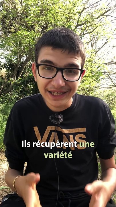 Cette pomme ne BRUNIT PAS ! 