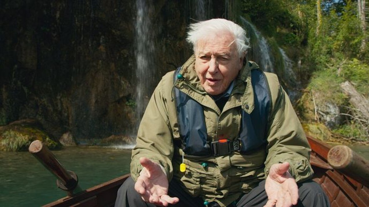 Les superpouvoirs des plantes - Lacs et rivières