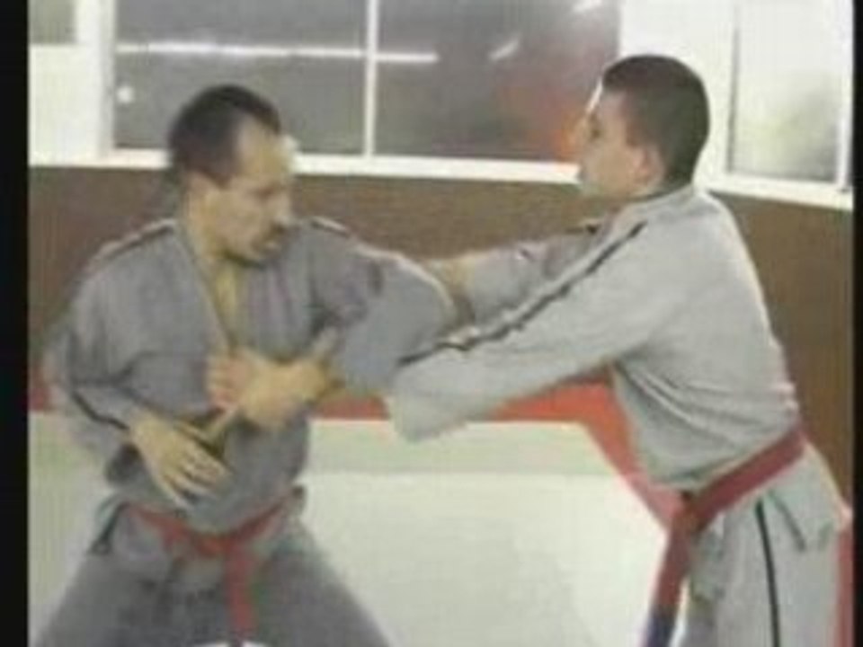 Ninja : L'art secret du Nin-Jutsu