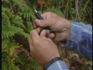 Normandie : 3 randonnees