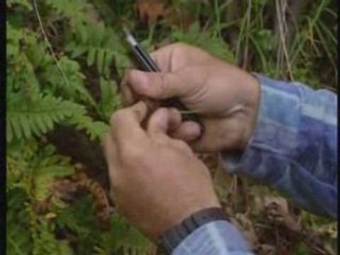 Normandie : 3 randonnees