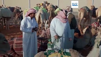شاهد: سباق الهجن في الرياض وجوائز بقيمة مليون وسبعمائة وخمسين ألف ريال