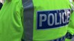 Boy, 8, bitten by XL Bully in Bootle - LiverpoolWorld Headlines