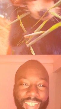 Abonne-toi pour suivre l’actualité positive chaque semaine ! Source 1 : reporterre I source 2 : Les Échos I source 3 : Ouest France I source 4 : France Info I source 5 : France 24