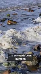 Water bosses to lose bonuses due to illegal sewage spills