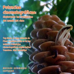 Moises Shemaria Capuano| Después de 41 años (parte 2)