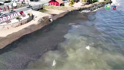 Naufraga nave: petrolio sui coralli di Trinidad