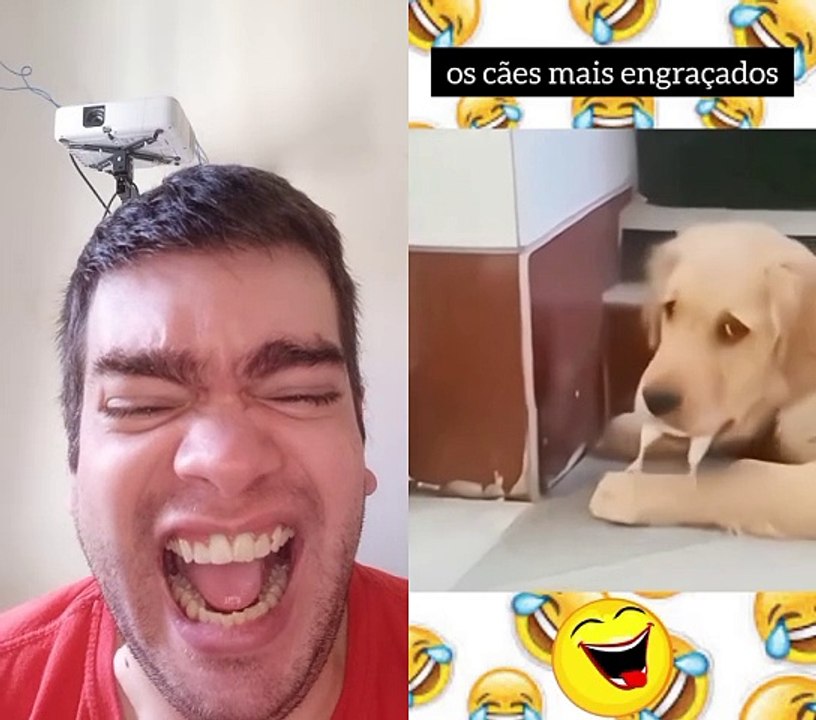 A arte do dog kkk