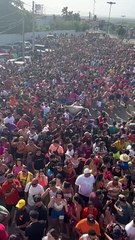 Vaca invade festa de carnaval e deixa pessoas feridas