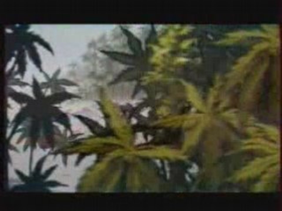 Le Cannabis la science et le cerveau 1/3