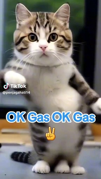 Joget viral