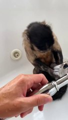 Bath Bath shenanigans Gaitlyn Rae