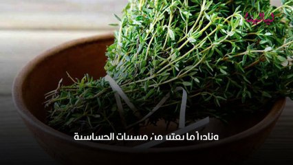 فوائد الزعتر