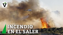 Un incendio forestal en El Saler (Valencia) obliga a desalojar dos edificios