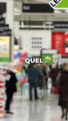 Produit le moins cher de chez Leroy Merlin VS le plus cher !