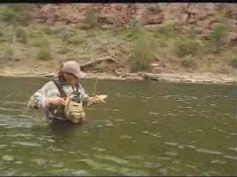 Peche a la mouche seche et nymphe a vue