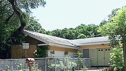 82. Amores de Mercado