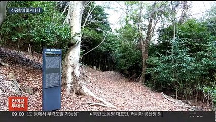 가덕도 신공항 건설 눈앞…사라질 멸종위기 동·식물