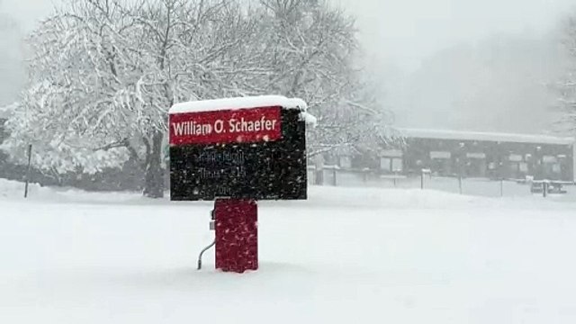 NY: tempestade de neve provoca cancelamento de voos e caos no transporte