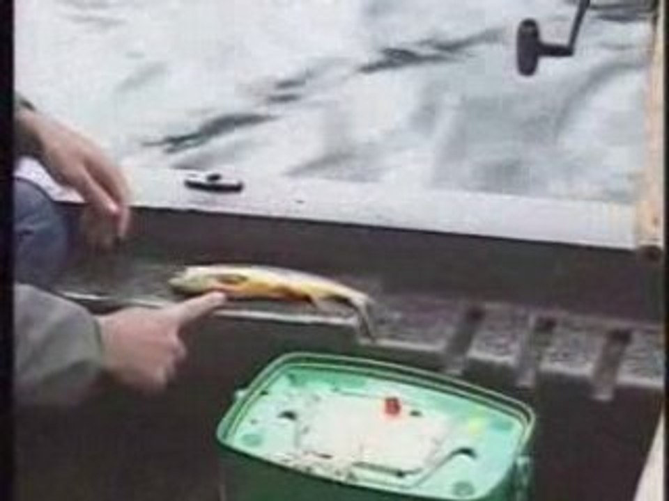 Peche de l'omble chevalier
