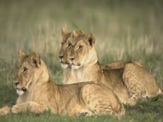 Photographies de l'impossible