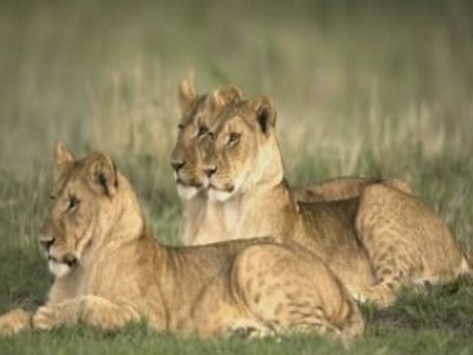 Photographies de l'impossible