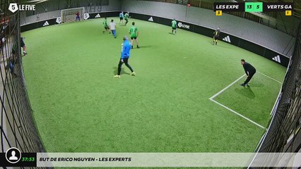 But de Erico NGUYEn - LES EXPERTS