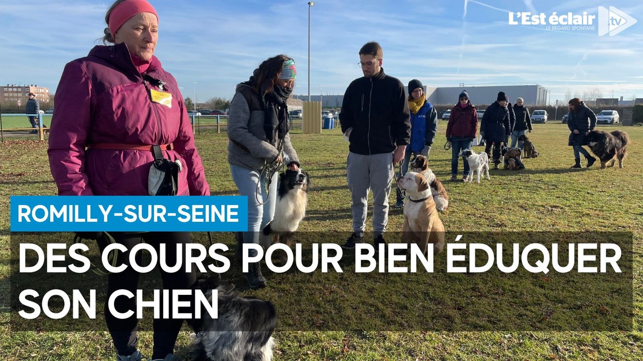 Des cours pour bien éduquer son chien à Romilly-sur-Seine