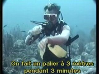 Plongee : Preparation au brevet - Niveau 1