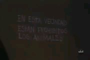 Chaves - Gente sim, animal não! - Episódio Completo - (1974) | Chaves Oficial HD | #chaves