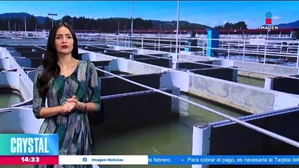 El frente frío 34 provocó nevadas en Chihuahua y Durango