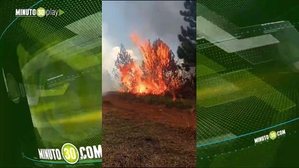 Más de 200 personas luchan contra las llamas en el incendio en Bello