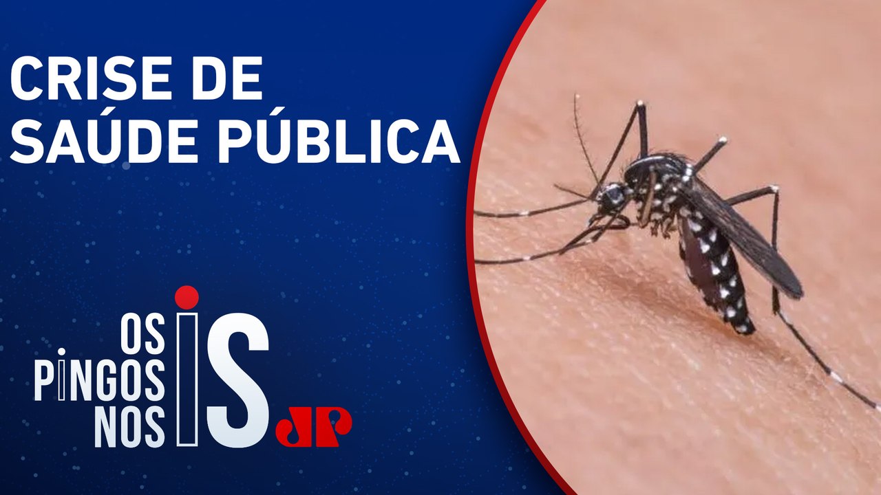 Epidemia de dengue no Brasil: 62 óbitos e 408 mil casos prováveis