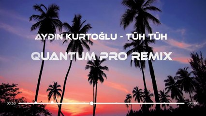 Tüh Tüh - Aydın Kurtoğlu (REMİX) #Tiktok