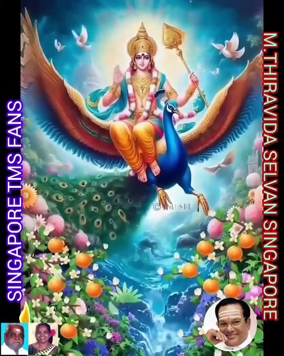 திருப்பரங்குன்றம் முருகனுக்கு சிங்கப்பூர் டி எம் எஸ் ரசிகர்கள் சமர்ப்பணம் VOL 5