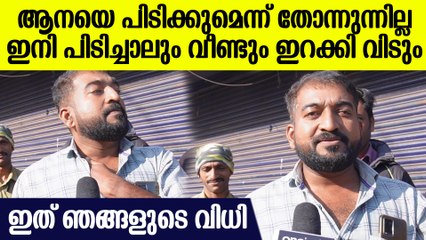 വന്യജീവികളെ കൊണ്ട് പൊറുതിമുട്ടി വയനാട്, ഹർത്താൽ പൂർണം