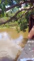 Bryan dando comida para os patos na lagoa em Minas Gerais