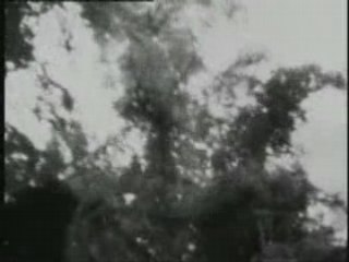 Derek Jarman - Stolen Apples For Karen Blixen (1973)