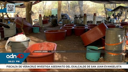 Policías catean estética canina en la Ciudad de México por denuncia de maltrato animal