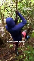 KohLanta, Les Chasseurs d’Immunité en février 2024 sur TF1 - Regardez le teaser